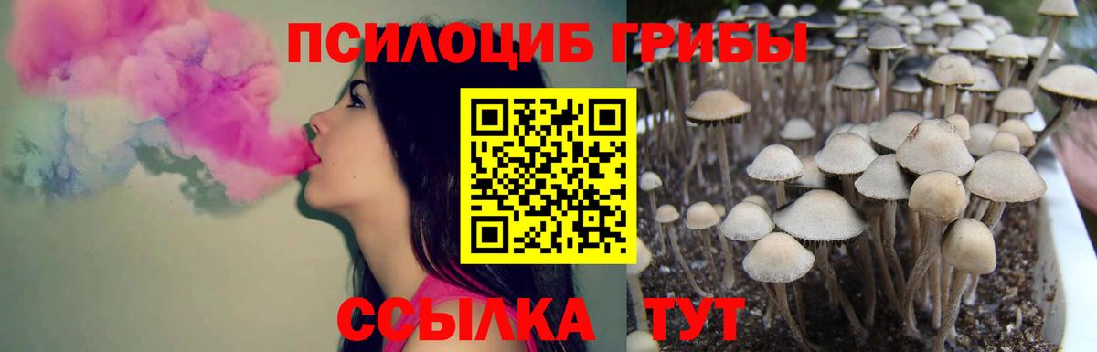 Псилоцибиновые грибы Magic Shrooms  Вход с VPN  Грозный 